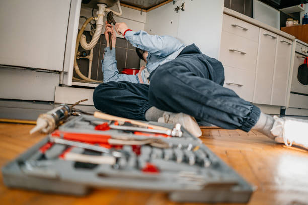 Best Plumbing Services Near Me  in Egypt Lake Leto, FL