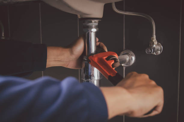 Best Affordable Plumber Near Me  in Egypt Lake Leto, FL