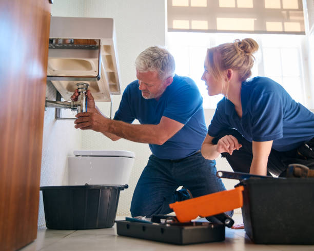 Best Local Plumber Services  in Egypt Lake Leto, FL
