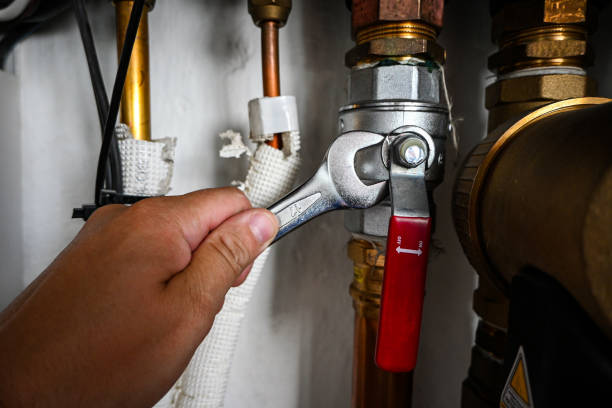 Best Shower Repair Services  in Egypt Lake Leto, FL
